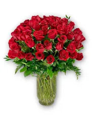 100 Long Stemmed Red Roses