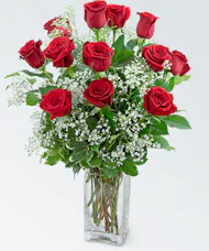 Dozen Roses in a Cloud