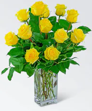 Yellow Roses (12)