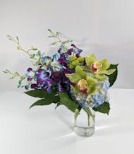 Blue Orchid Dreams