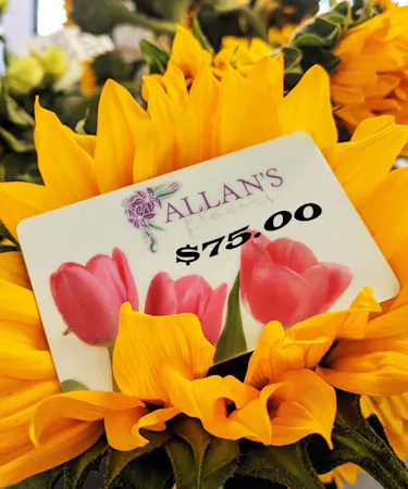$75 Gift Card for Allan's Flowers