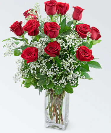 12 red roses in a vase with greenery and baby's breath