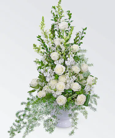 All white flowers in a white urn