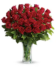 Long Stemmed Roses - 2-3 Dozen