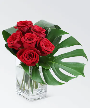 Six red roses and monstera leaf in a clear glass vase