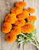 Bunch of orange marigolds