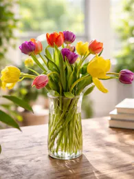 Tulip Time