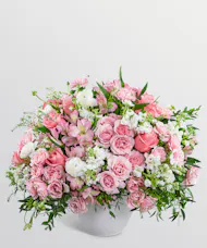 Provence Rose Garden