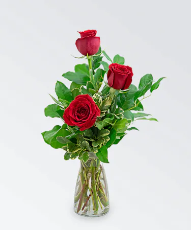 3 rose bud vase with premium foliage