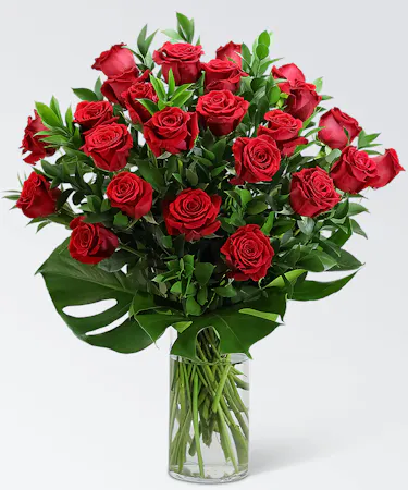 One dozen red roses with premium greenery and monstera leaf in a clear glass vase