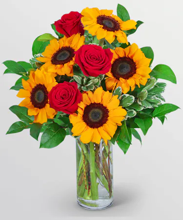 Rosy Sunflowers