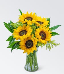 Sprinkle of Sunflowers