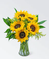 Sprinkle of Sunflowers