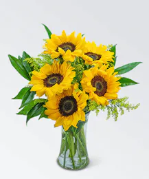 Sprinkle of Sunflowers