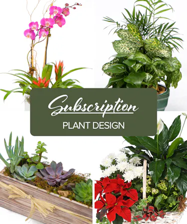A fresh flower subscription service delivers our best and brightest seasonal blooms. 