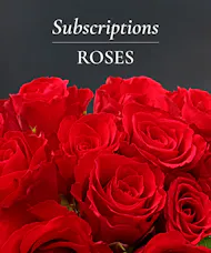Rose Arrangement Subscription