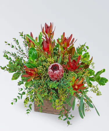 Wooden box with lush greenery, sunset leucadendron and a pink mink protea