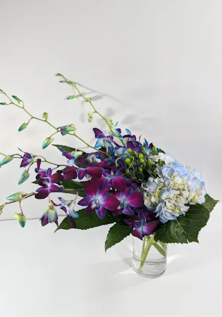 Blue dendrobium orchids paired with blue hydrangea & green hypericum hand-designed in a clear glass vase.