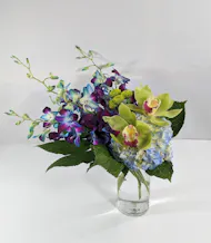 Blue Orchid Dreams