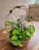 Crystal cross keepsake nestled in a live plant