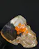 Crystal skull with a black rose and an orange marigold