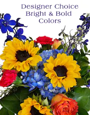 Designer's Choice Bright Colors