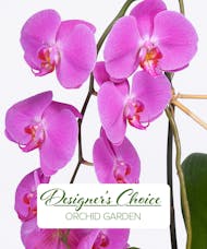 Designer's Choice Orchid Garden