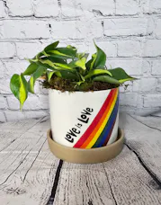 Love Is Love Planter
