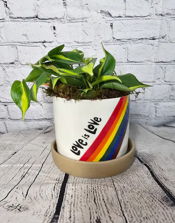 Love Is Love Planter