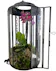 Discover The Orchid Conservatory: A striking blend of architectural design and botanical beauty. Featuring a vibrant orchid in a chic metal frame.