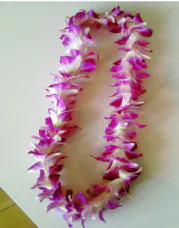 Graduation Orchid Lei