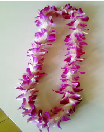 Bombay Dendrobium Orchid Lei