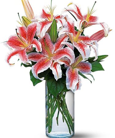 Elegant Stargazer Lily Bouquet