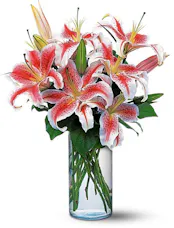 Elegant Stargazer Lily Bouquet